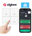 Pilot ZigBee 4 kanały 12 scen do Home Assistant