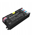 Sterownik WLED RGBIC WiFi ESP32 Ethernet RJ45 PWM Magic Pixel WS281x MQTT