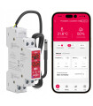 Dwukanałowy przekaźnik AC DC REGULATOR temperatury wilgotności WiFi TUYA